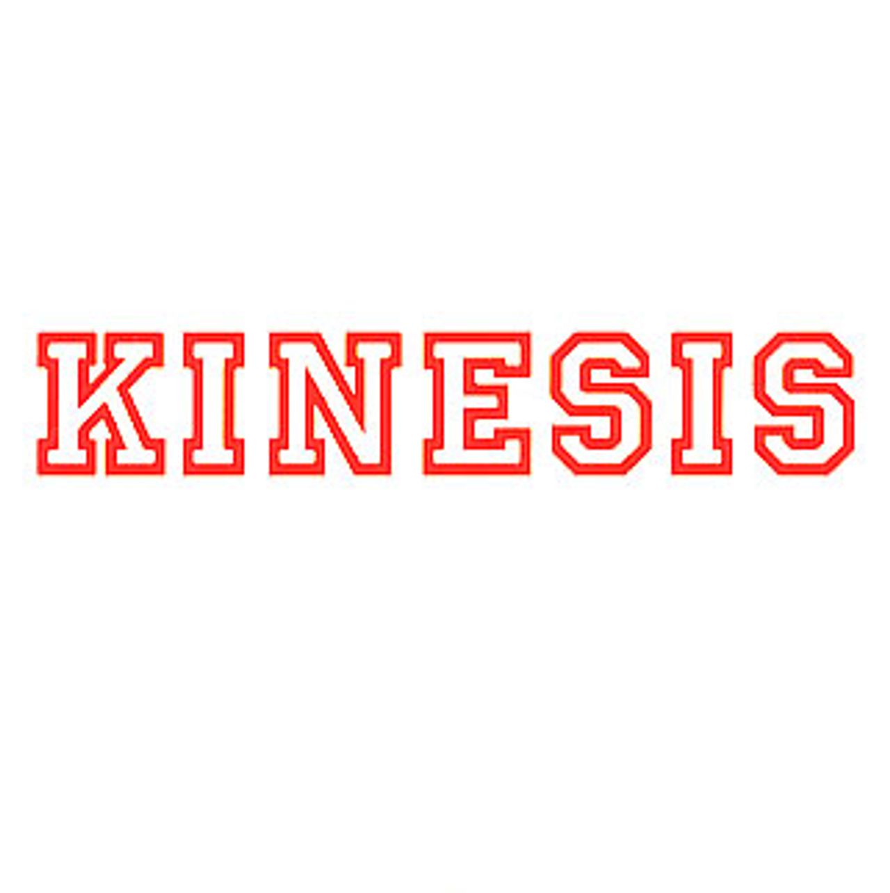 Kinesis Everything Destroys Itself UK CD single (CD5 / 5") HALL005CD