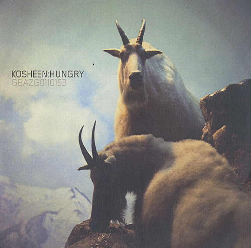 Kosheen Hungry UK Promo CD-R acetate CDR ACETATE