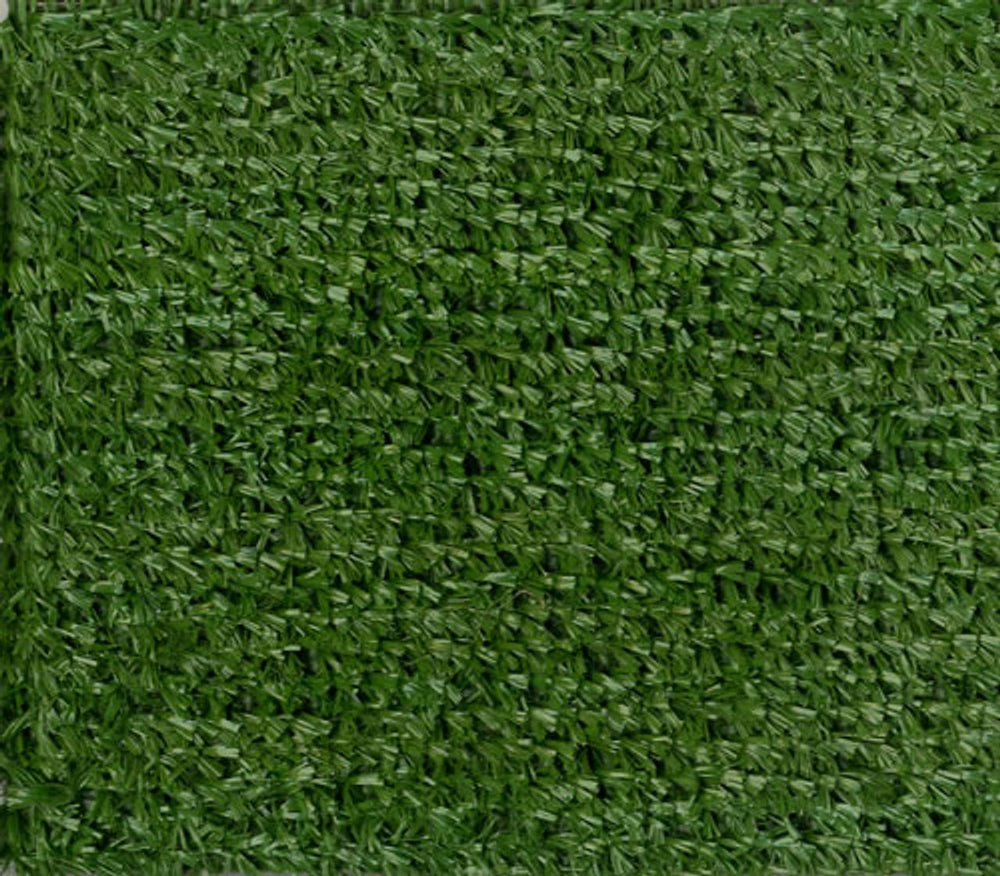 Michelle Shocked On The Greener Side US Promo CD single (CD5 / 5") CDP142