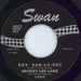 Mickey Lee Lane Hey Sah-Lo-Ney US 7" vinyl single (7 inch record / 45) S4222