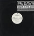 P. M. Dawn Night In The City US Promo 12" vinyl single (12 inch record / Maxi-single) PRO-A-100442