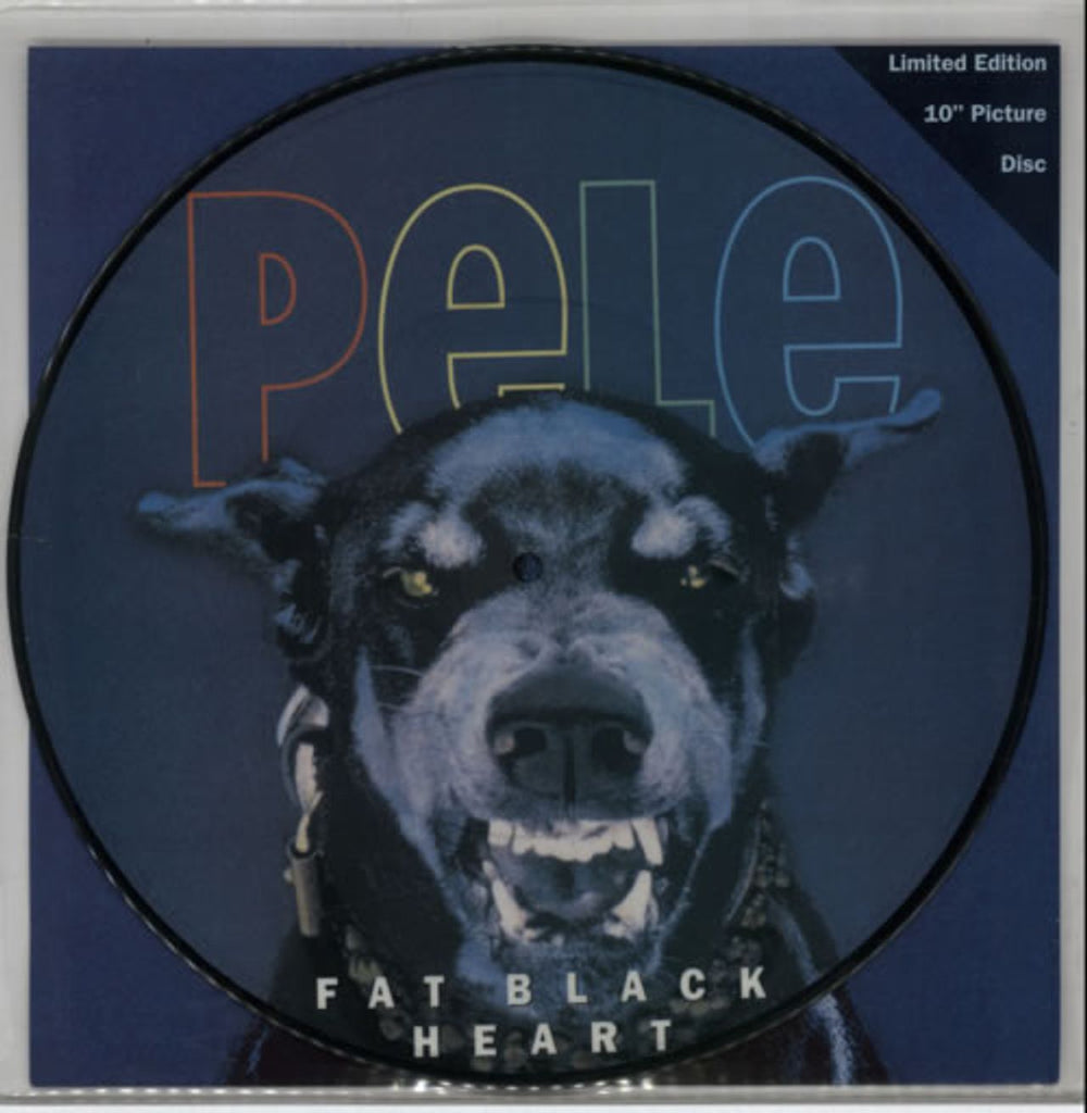 Pele (Indie) Fat Black Heart UK picture disc LP (vinyl picture disc album) MAGST43