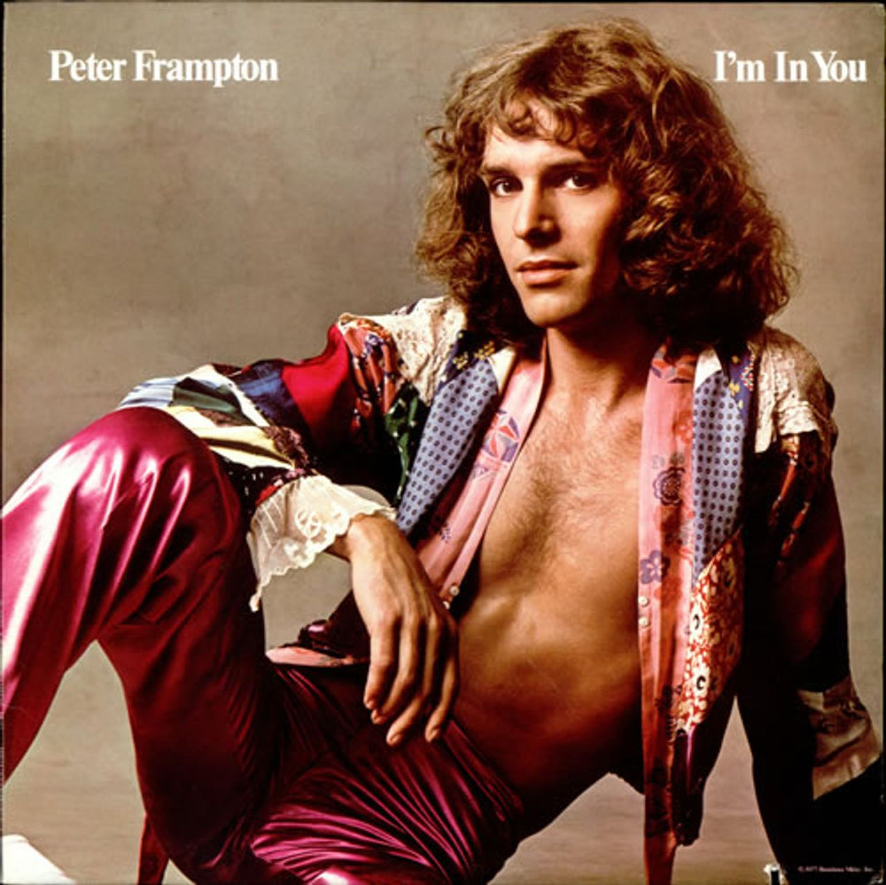 Peter Frampton I'm In You US vinyl LP album (LP record) SP4704