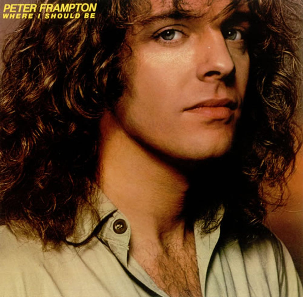 Peter Frampton Where Should I Be UK vinyl LP album (LP record) AMLK63710