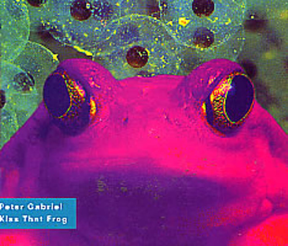 Peter Gabriel Kiss That Frog UK CD single (CD5 / 5") PGSDG10