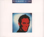 Peter Murphy Hit Song UK CD single (CD5 / 5") BEG261CD