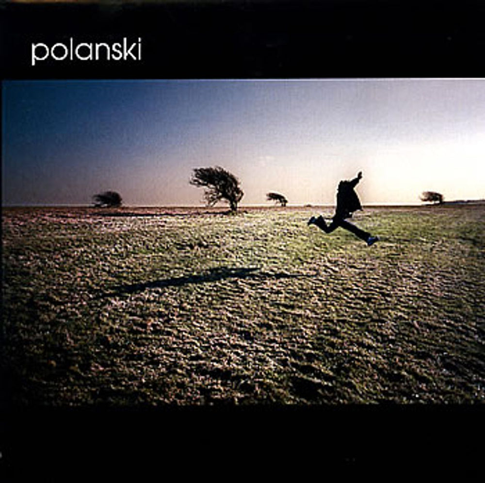 Polanski Hate This Music UK Promo 7" vinyl single (7 inch record / 45) 7FICADJ008