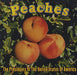 Presidents Of The USA Peaches US Promo CD single (CD5 / 5") CSK7404