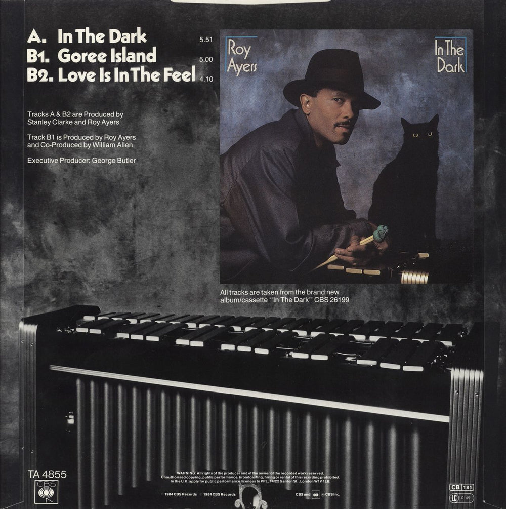 Roy Ayers In The Dark UK 12" vinyl single (12 inch record / Maxi-single)