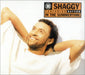 Shaggy In The Summertime UK CD single (CD5 / 5") VSCDT1542