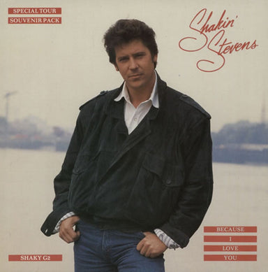 Shakin' Stevens Because I Love You UK 7" vinyl — RareVinyl.com