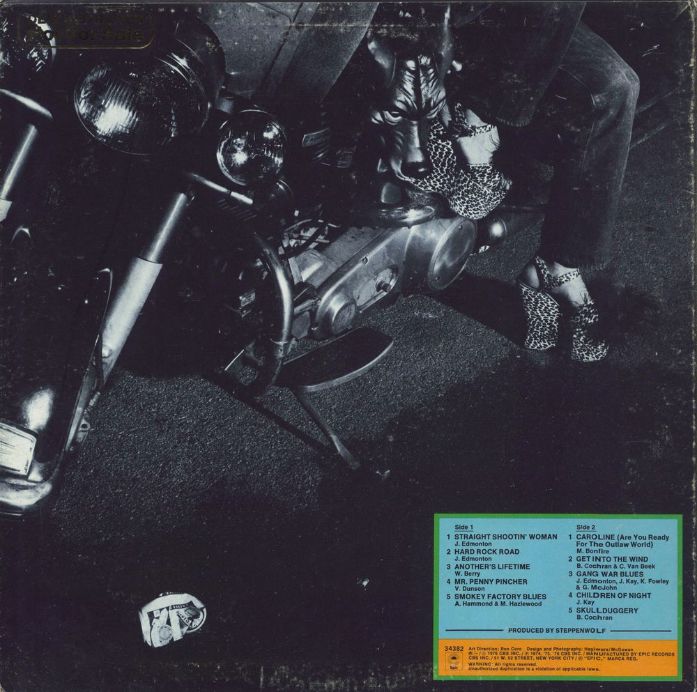 Steppenwolf The Best Of Steppenwolf - Reborn To Be Wild US vinyl LP album (LP record)