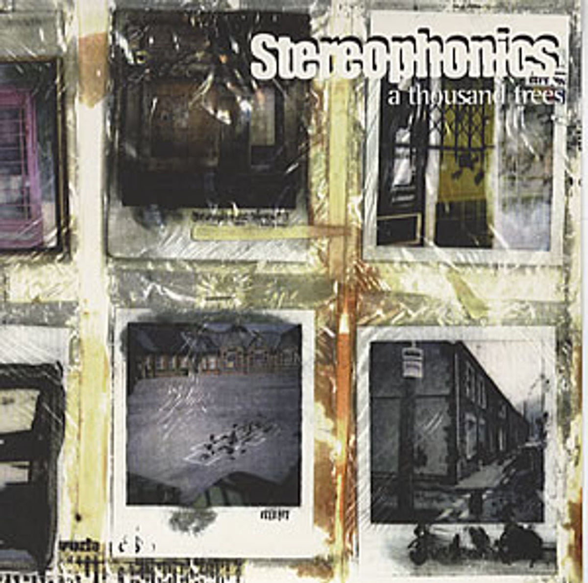 Stereophonics A Thousand Trees UK 7