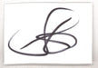 Steven Tyler Autograph UK memorabilia AUTOGRAPH