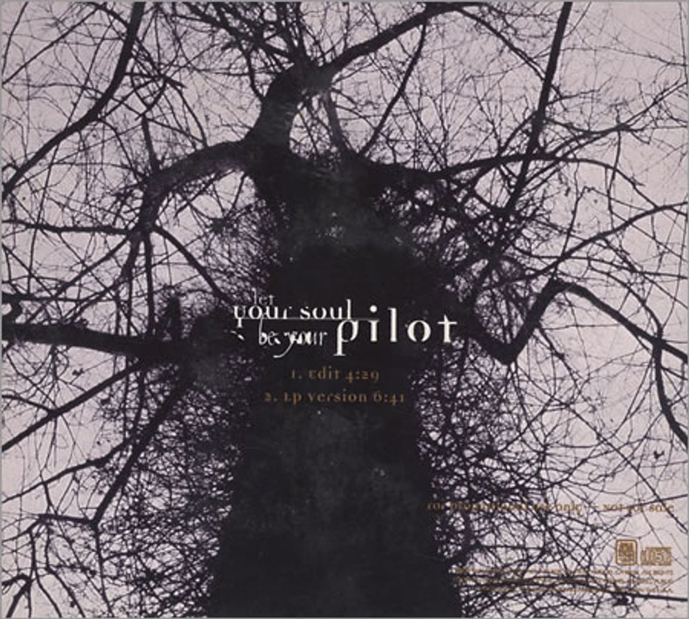 Sting Let Your Soul Be Your Pilot US Promo CD single (CD5 / 5") STIC5LE64280