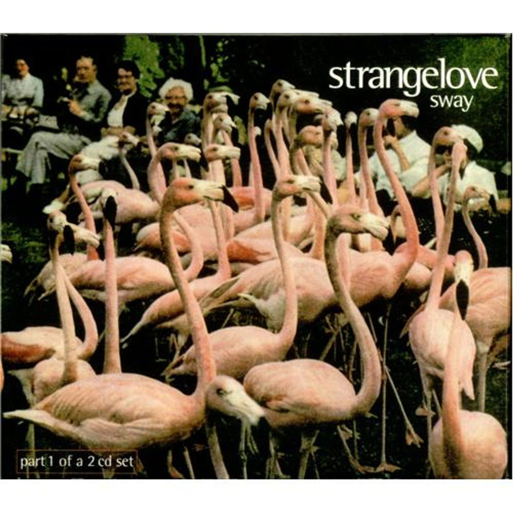 Strangelove Sway - Part 1 UK CD single (CD5 / 5") CDFOODS82