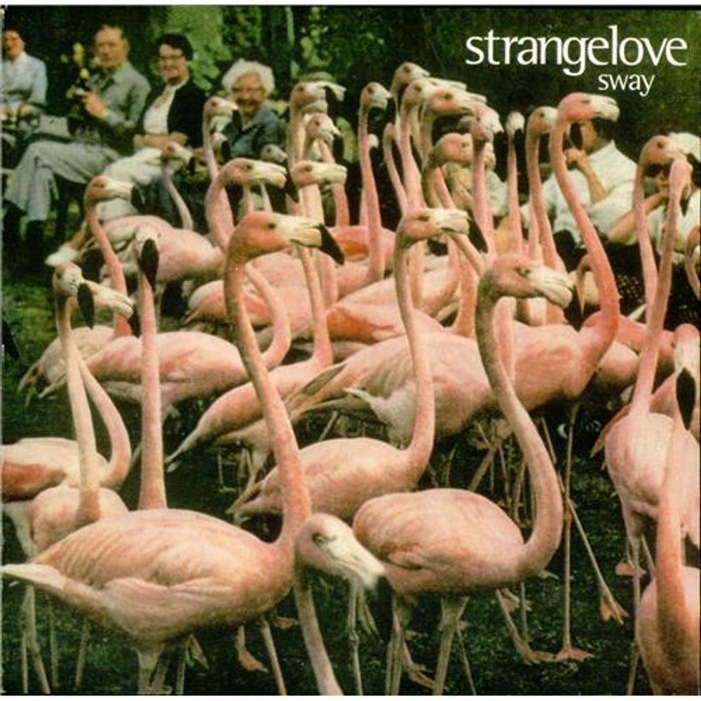 Strangelove Sway UK 7" vinyl single (7 inch record / 45) FOOD82