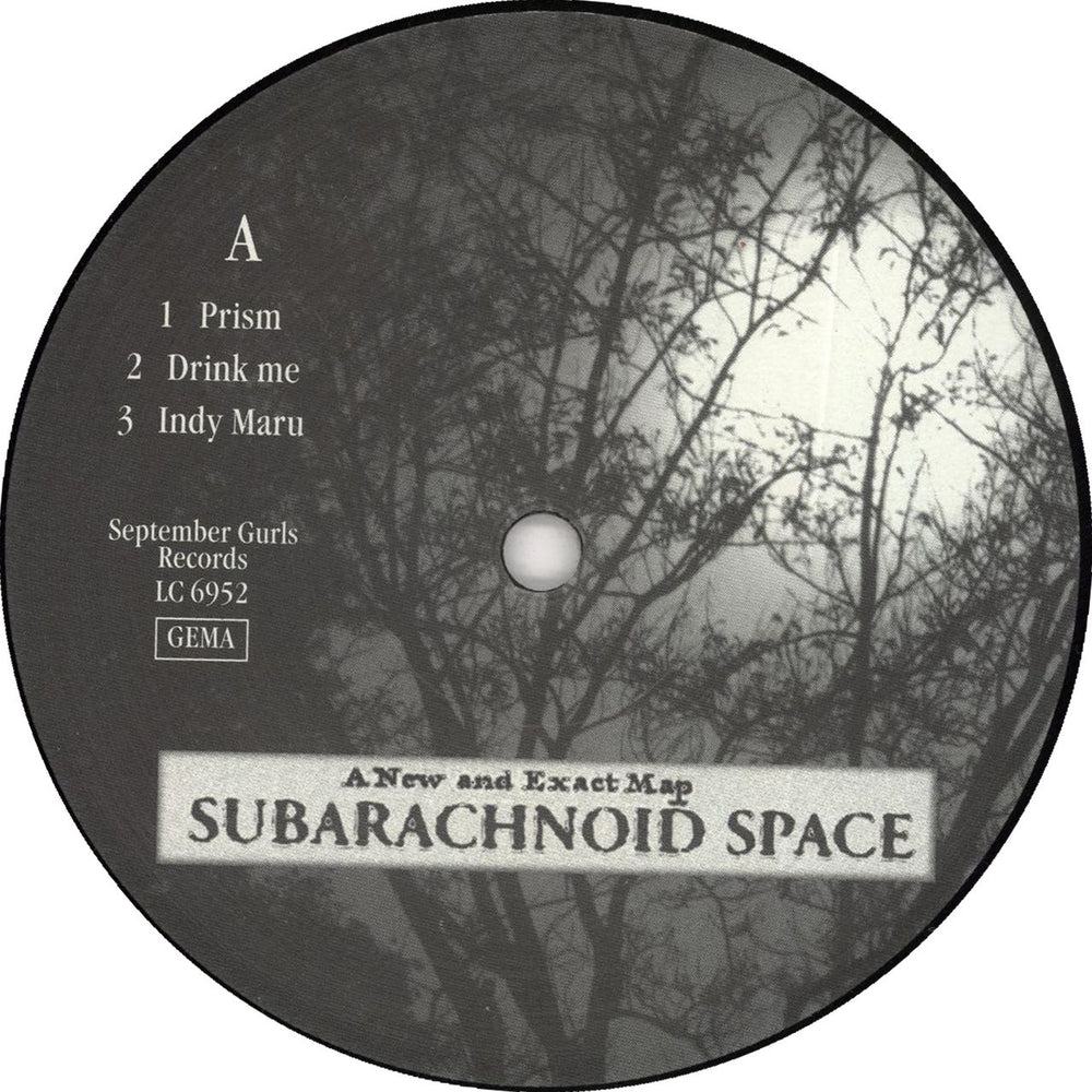 SubArachnoid Space A New And Exact Map German vinyl LP album (LP record) 0UBLPAN727265