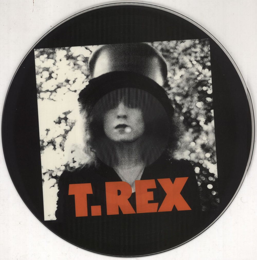 T-Rex / Tyrannosaurus Rex The Slider UK picture disc LP (vinyl picture disc album) RAPD503