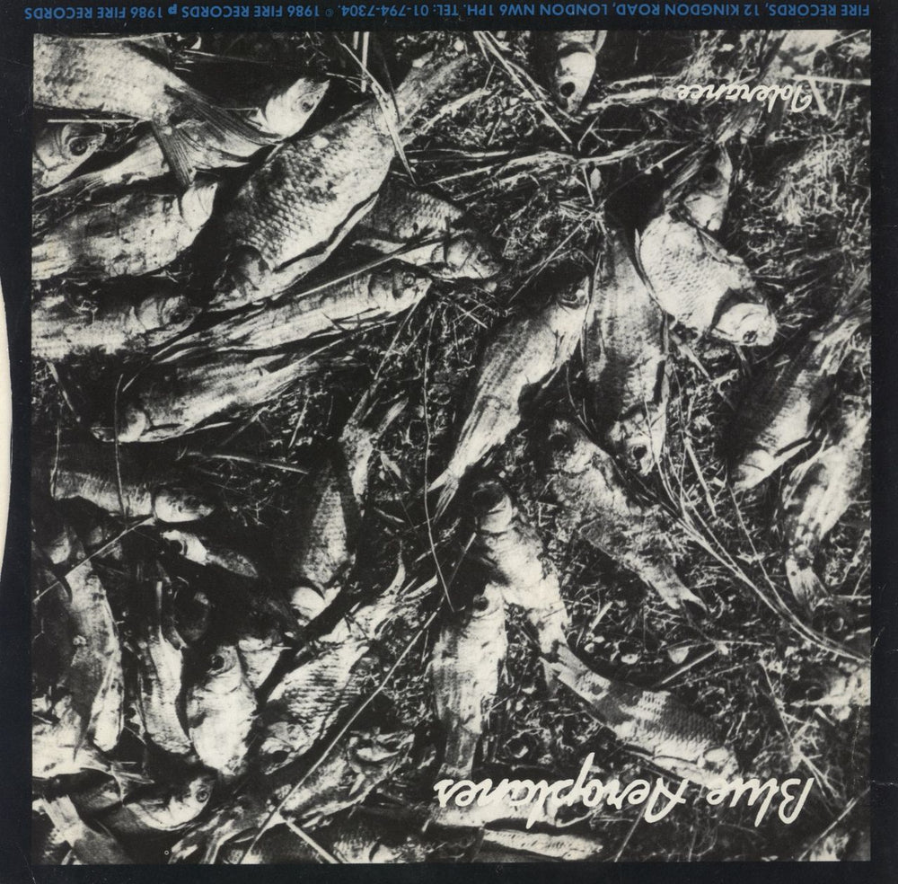 The Blue Aeroplanes When The Wave Comes / Tolerance UK 7" vinyl single (7 inch record / 45)