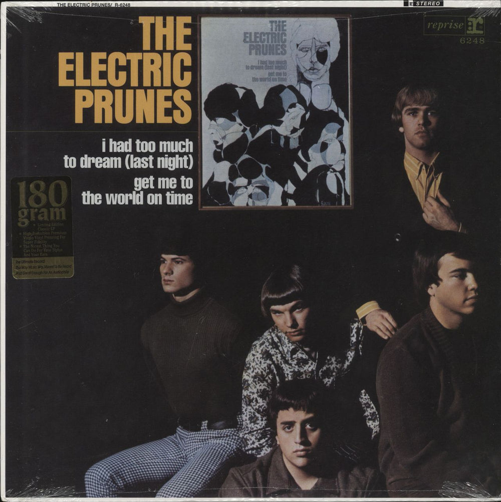 The Electric Prunes The Electric Prunes US vinyl LP album (LP record) R6248