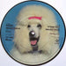 The Fabulous Poodles Workshy UK 7" vinyl picture disc (7 inch picture disc single) FP07PWO567425