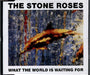 The Stone Roses What The World Is Waiting For German CD single (CD5 / 5") ZD43322