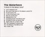 The Waterboys A Rock In The Weary Land UK Promo CD-R acetate CD ACETATE