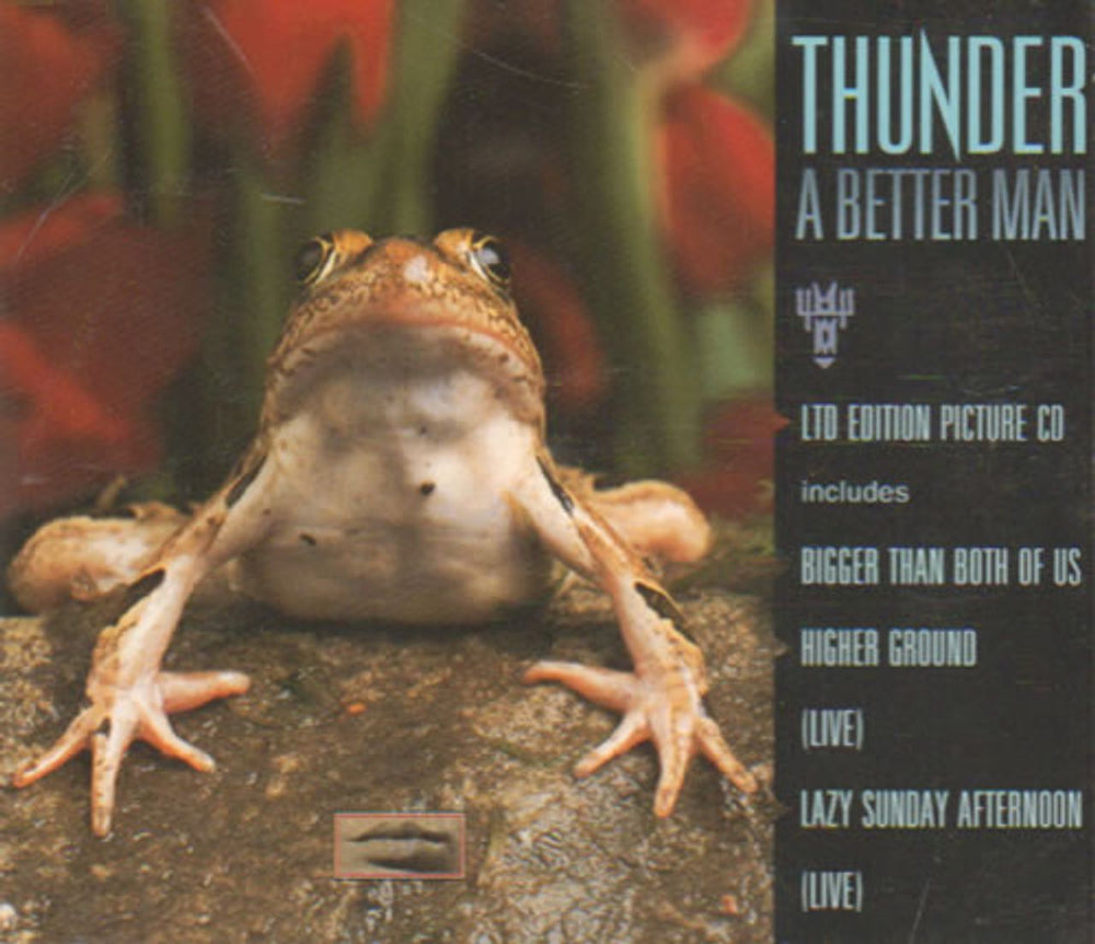 Thunder A Better Man - Picture Dutch CD single (CD5 / 5") 8804652