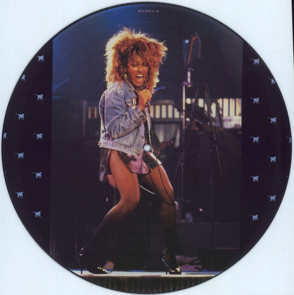 Tina Turner Private Dancer UK picture disc LP (vinyl picture disc album) TURPDPR790818