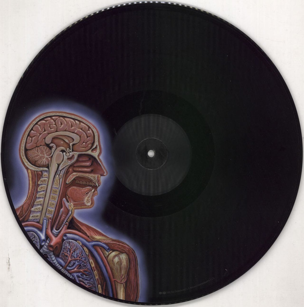 Tool Lateralus - EX US picture disc LP (vinyl picture disc album) 614223116013