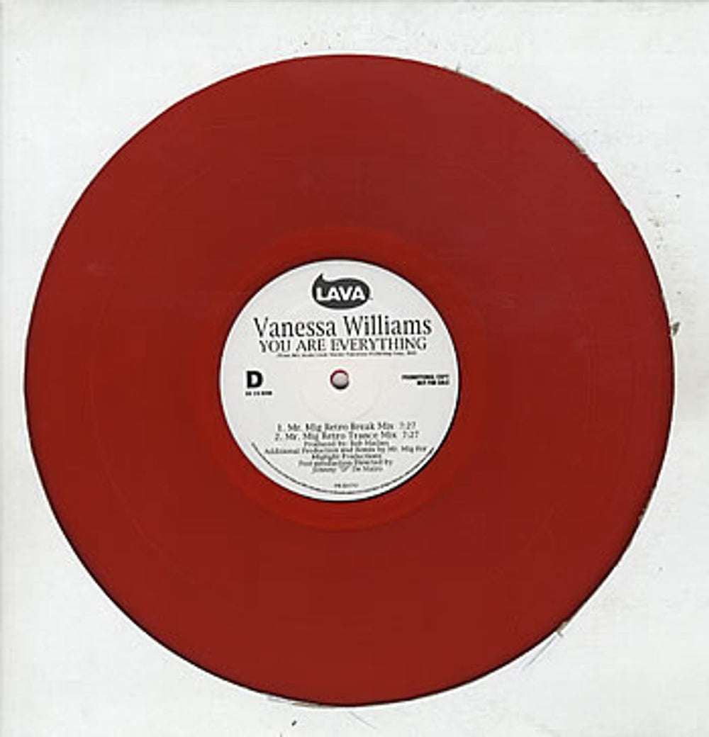 Vanessa Williams You Are Everything - Dance Mixes US Promo 12" vinyl single (12 inch record / Maxi-single) VNW12YO323461