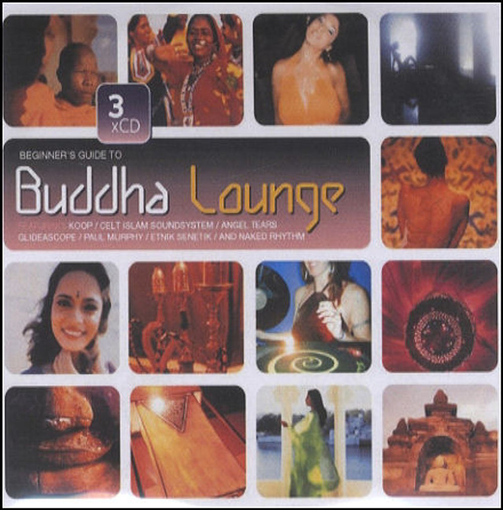 Various-Dance Beginner's Guide To Buddha Lounge UK Promo CD-R acetate CD-R ACETATE