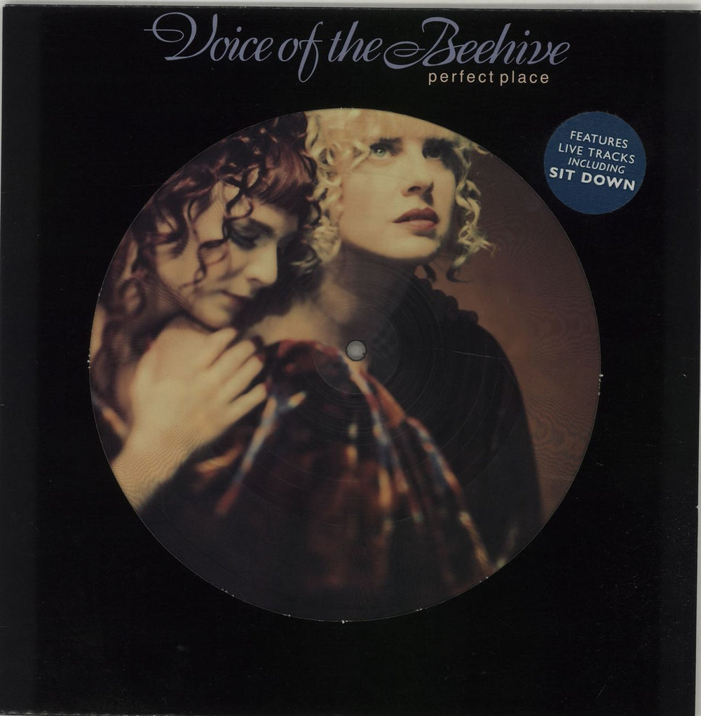 Voice Of The Beehive Perfect Place UK 10" Vinyl Picture Disc (10 inch Record Single) LONT312