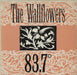 Wallflowers (UK) 83.7 UK 7" vinyl single (7 inch record / 45) IDEA007