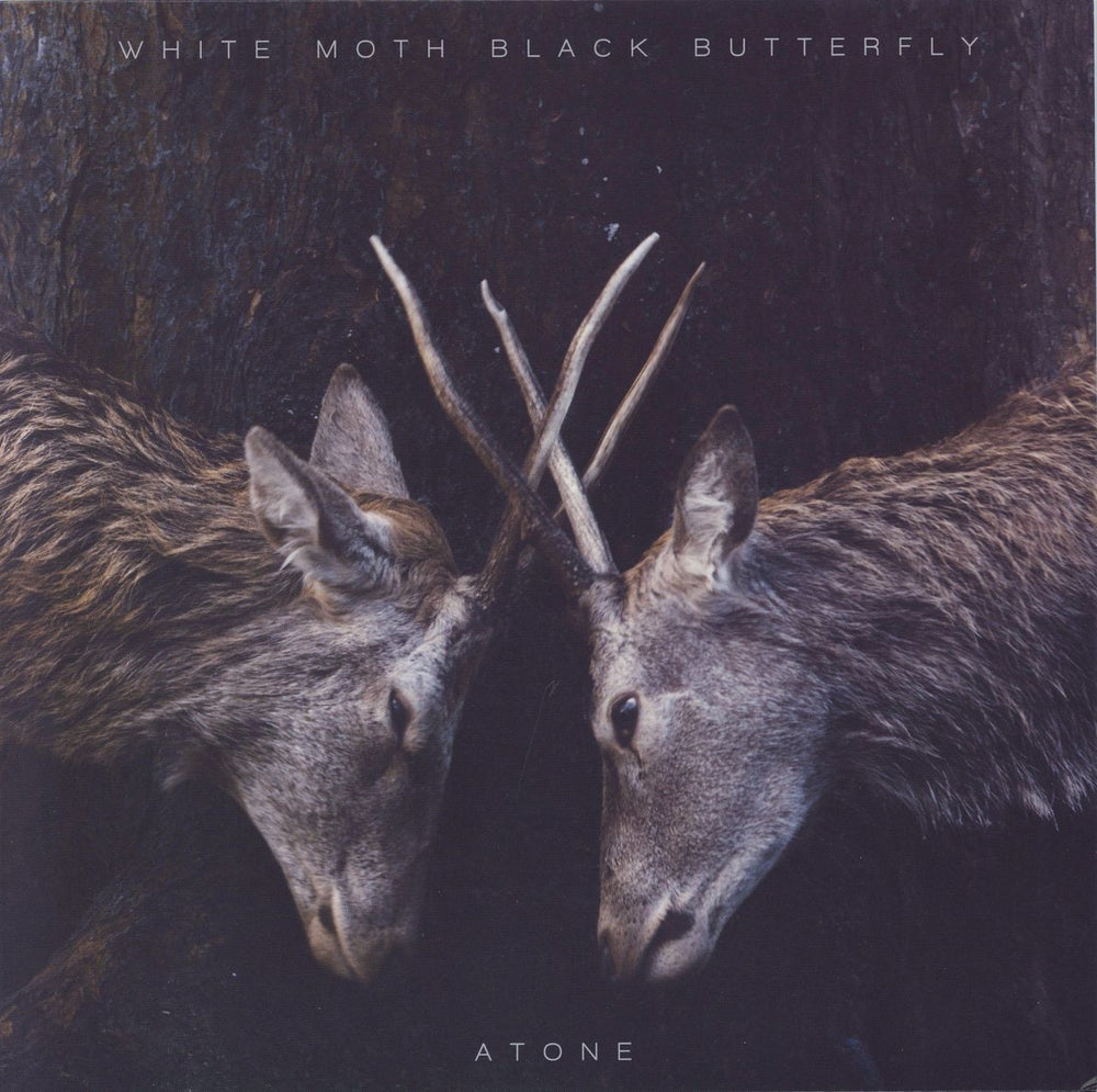 White Moth Black Butterfly Atone UK vinyl LP album (LP record) KSCOPE962